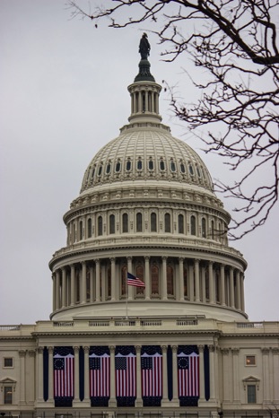 Capitol Dome - NHP98